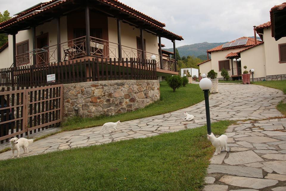 Karyon Apartments Kariófiton Exterior foto